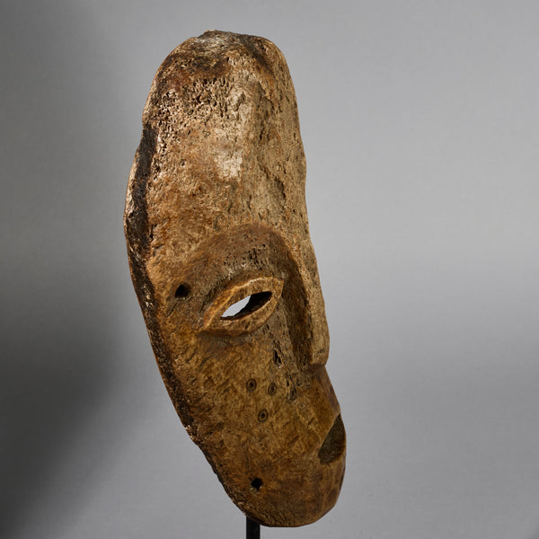 A RARE LEGA TRIBE BONE  MASK FROM CONGO , EX UK COLLECTION   (No 6264)