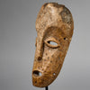 A RARE LEGA TRIBE BONE  MASK FROM CONGO , EX UK COLLECTION   (No 6264)