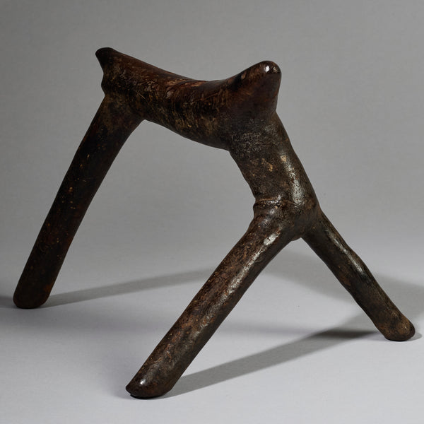 A WELL PATINATED ORGANIC HEADREST FROM THE RENDILLE TRIBE OF KENYA  (No 6240 ))