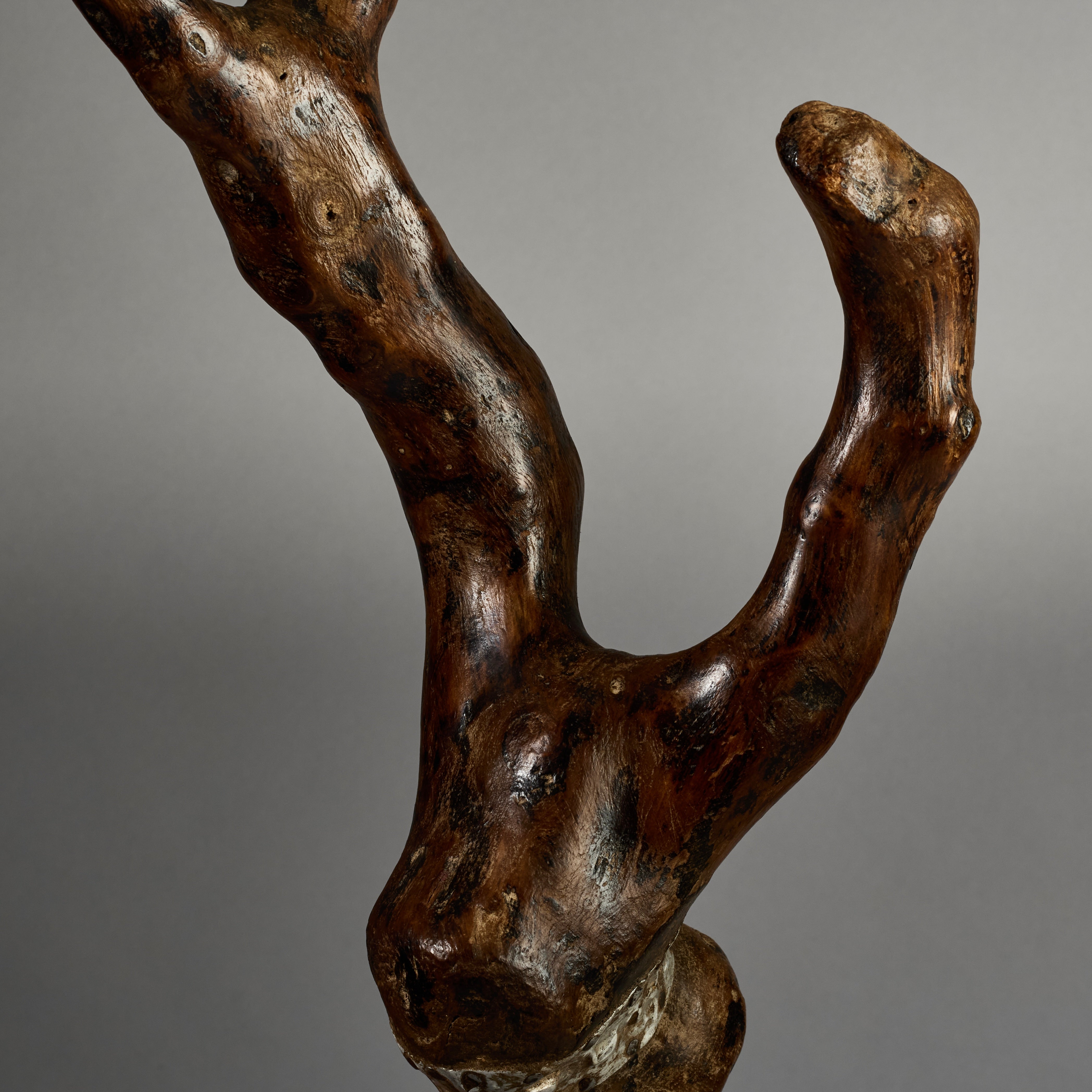 A DOUBLE ORGANIC STAFF FROM PARE TRIBE OF TANZANIA EAST.AFRICA ( No 6223) (Copy)