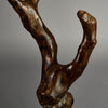 A DOUBLE ORGANIC STAFF FROM PARE TRIBE OF TANZANIA EAST.AFRICA ( No 6223) (Copy)