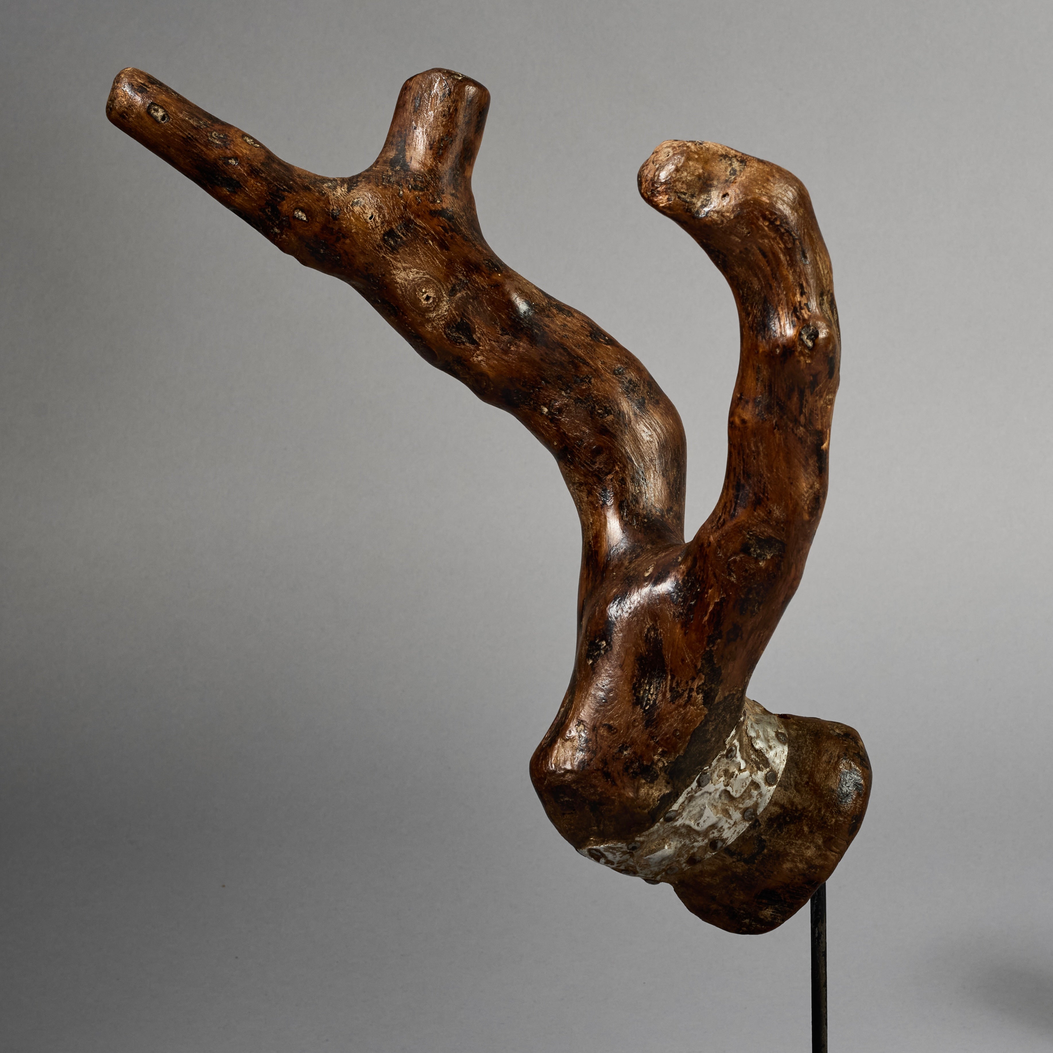 A DOUBLE ORGANIC STAFF FROM PARE TRIBE OF TANZANIA EAST.AFRICA ( No 6223) (Copy)