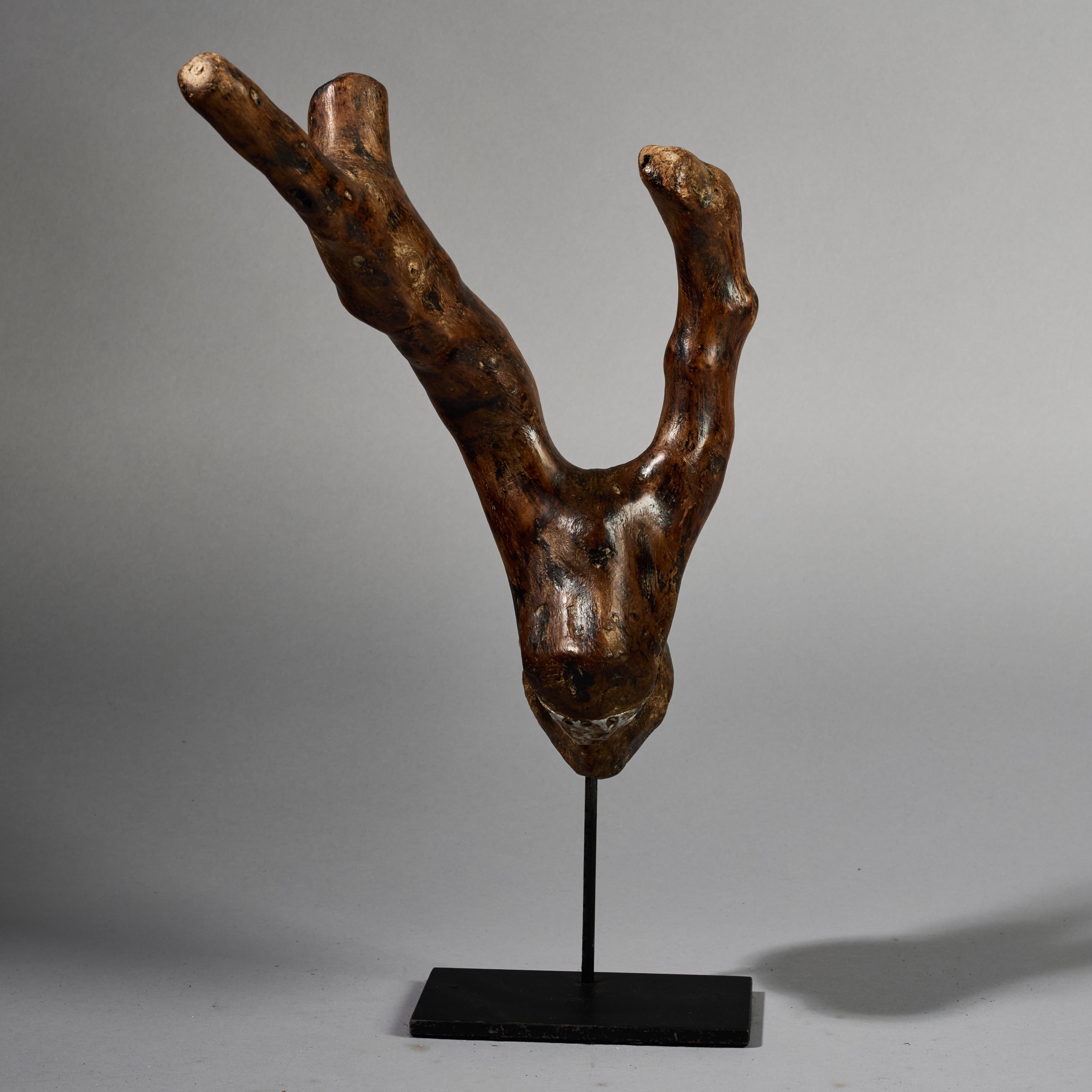 A DOUBLE ORGANIC STAFF FROM PARE TRIBE OF TANZANIA EAST.AFRICA ( No 6223) (Copy)