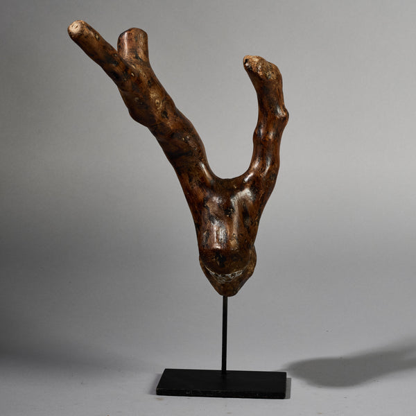 A DOUBLE ORGANIC STAFF FROM PARE TRIBE OF TANZANIA EAST.AFRICA ( No 6223) (Copy)