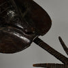 A RARE SHAPED LEATHER SHIELD, WITH INBUILT SWORD, FROM SHILUK PEOPLE  E.AFRICA ( No 6295