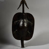 A RARE SHAPED LEATHER SHIELD, WITH INBUILT SWORD, FROM SHILUK PEOPLE  E.AFRICA ( No 6295