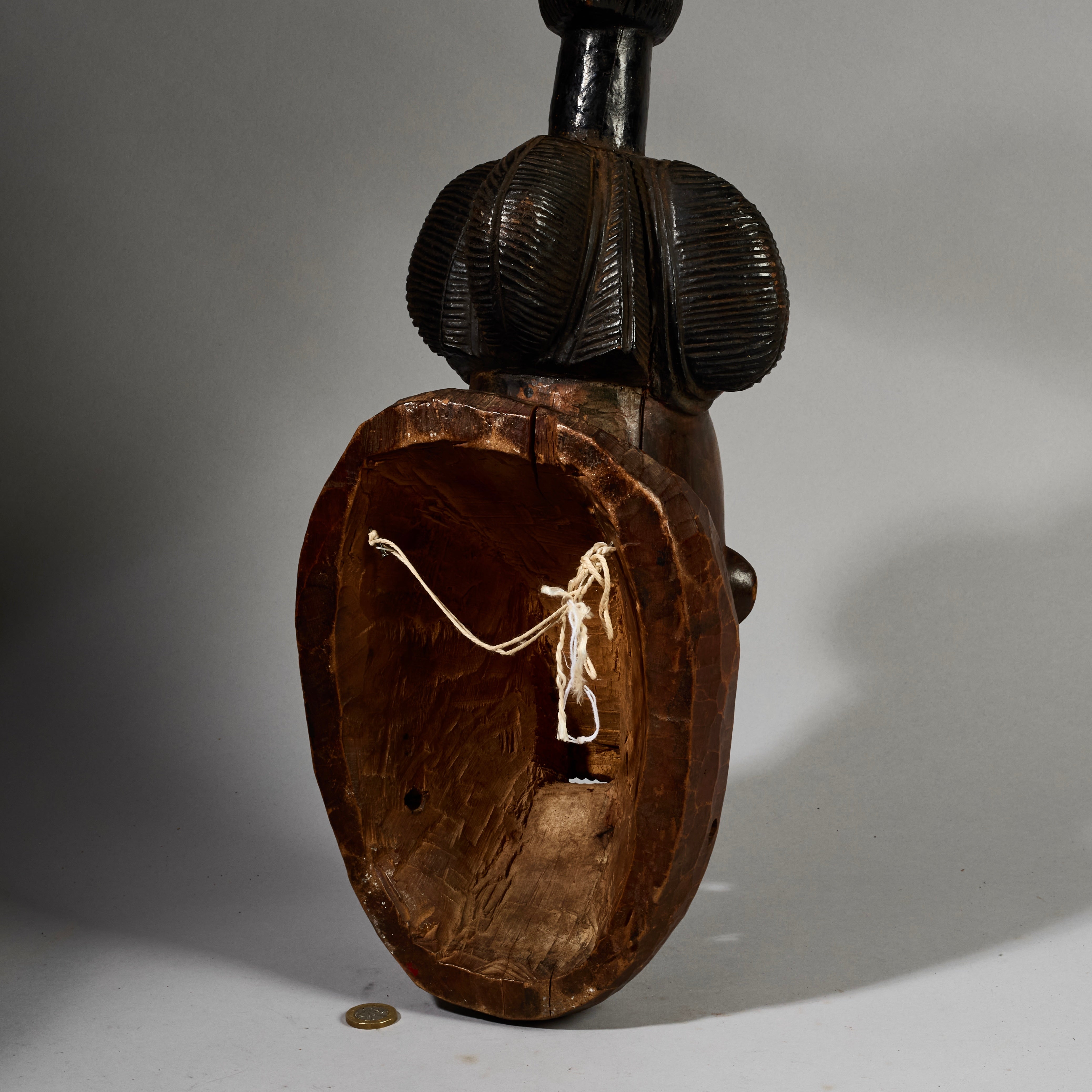 A PRETTY BAULE MASK , EX UK COLLECTION WITH TRADITIONAL BUNCH HAIRSTYLE FROM THE IVORY COAST W.AFRICA ( No 6296 )