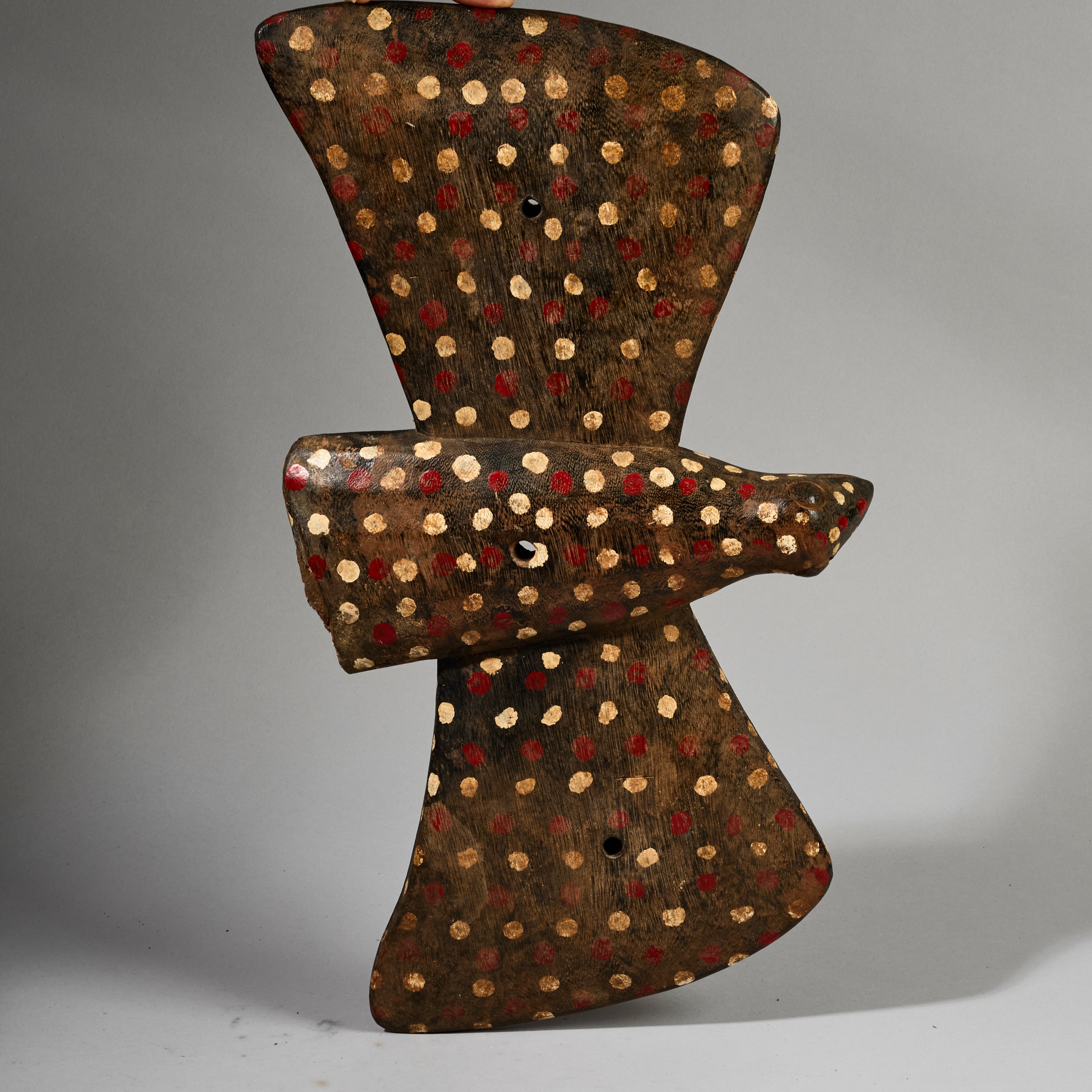 A SPOTTY FARMERS TROPHY BIRD, SENOUFO TRIBE OF THE IVORY COAST W.AFRICA ( No 6224)