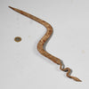 AN OXIDISED IRON SNAKE TALISMAN FROM THE LOBI TRIBE OF BURKINA FASO ( No 6228)
