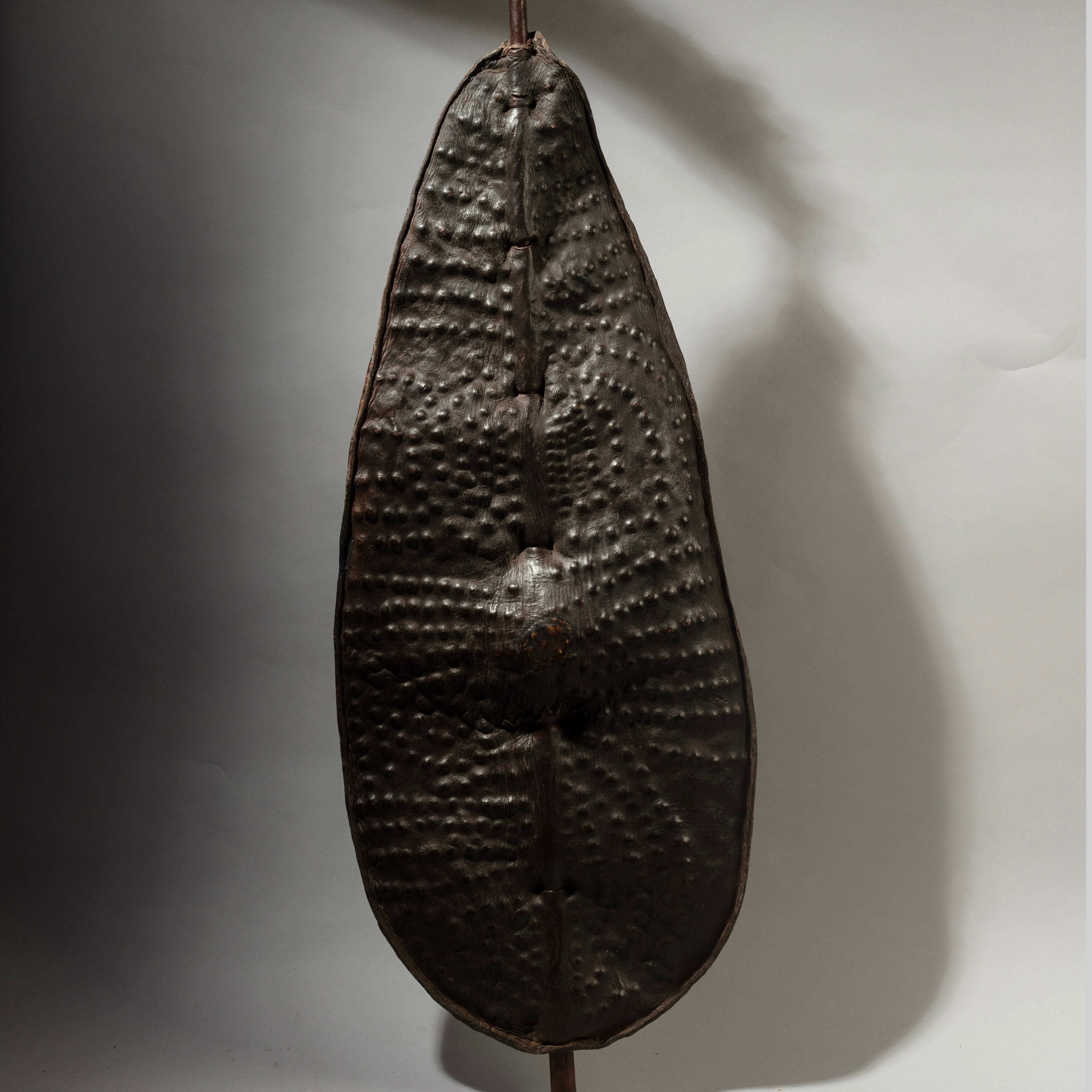 A STUNNING DINKA TRIBE  DIMPLE SHIELD EX UK COLLECTION  [ No 4454]