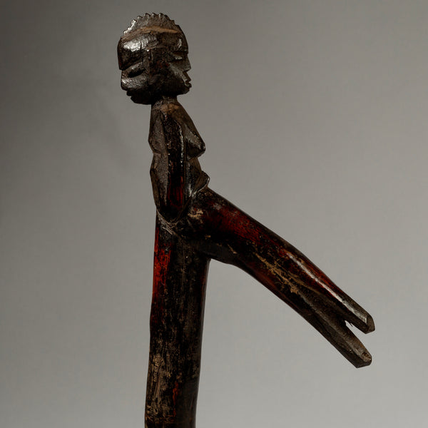 A LUSCIOUS ELDERS CROOK FROM THE LOBI TRIBE OF THE IVORY COAST W.AFRICA ( No 890)